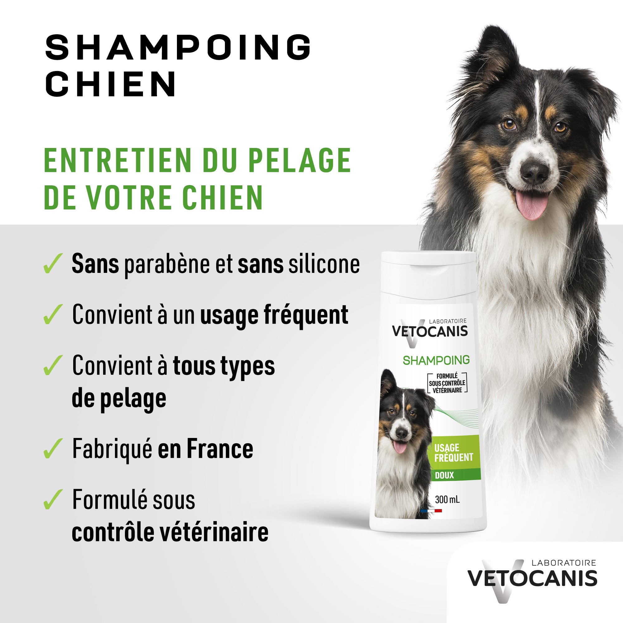 Entretien du pelage du chien avec le shampoing doux usage fréquent pour chien Vetocanis