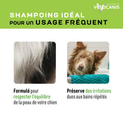 Shampoing idéal pour un usage fréquent