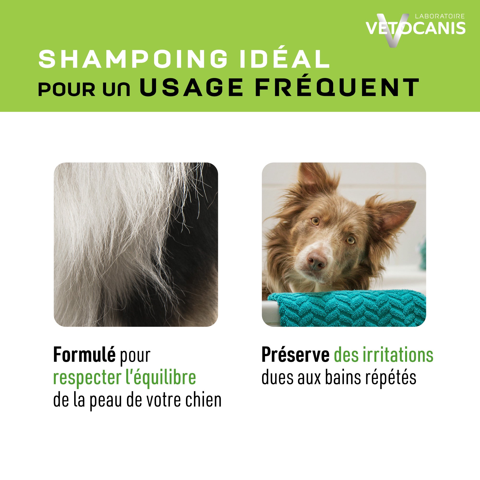 Shampoing idéal pour un usage fréquent