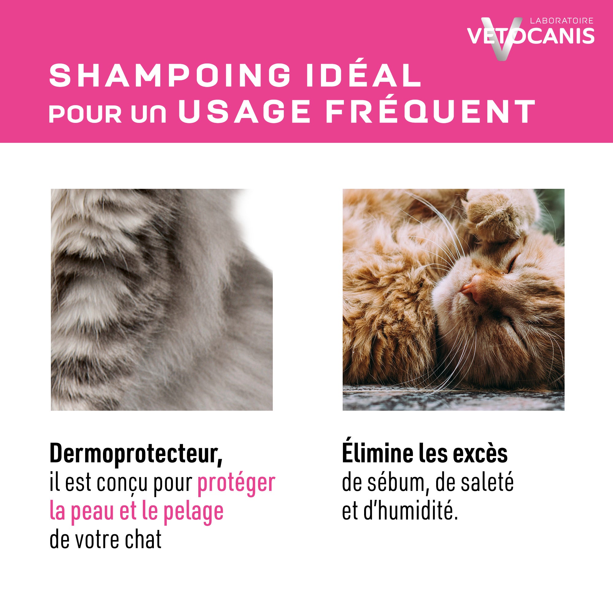 Shampoing idéal pour un usage fréquent du chat