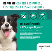 Spray antiparasitaire chien protection 