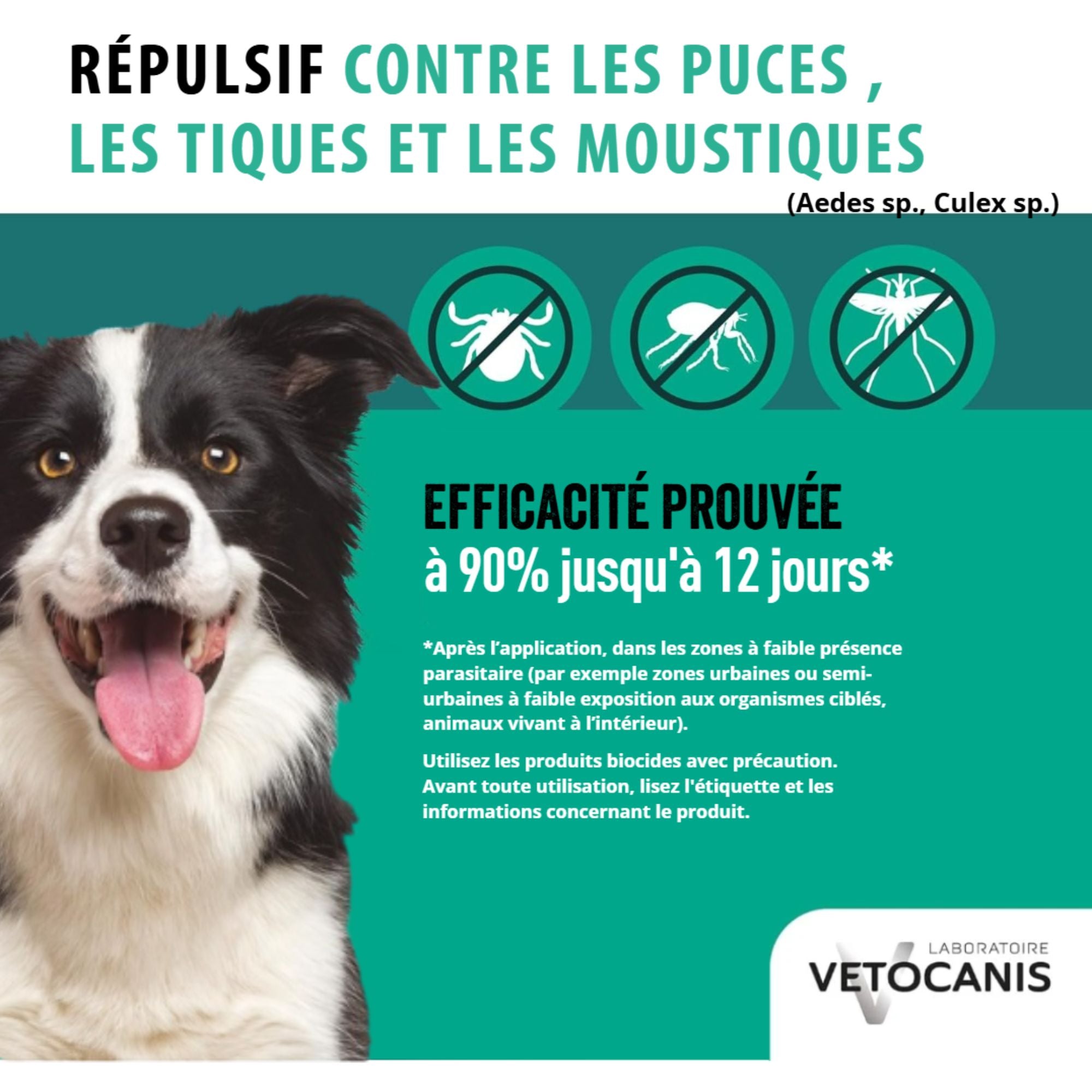 Spray antiparasitaire chien protection 