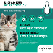 Pipettes antiparasitaires protection pour chaton