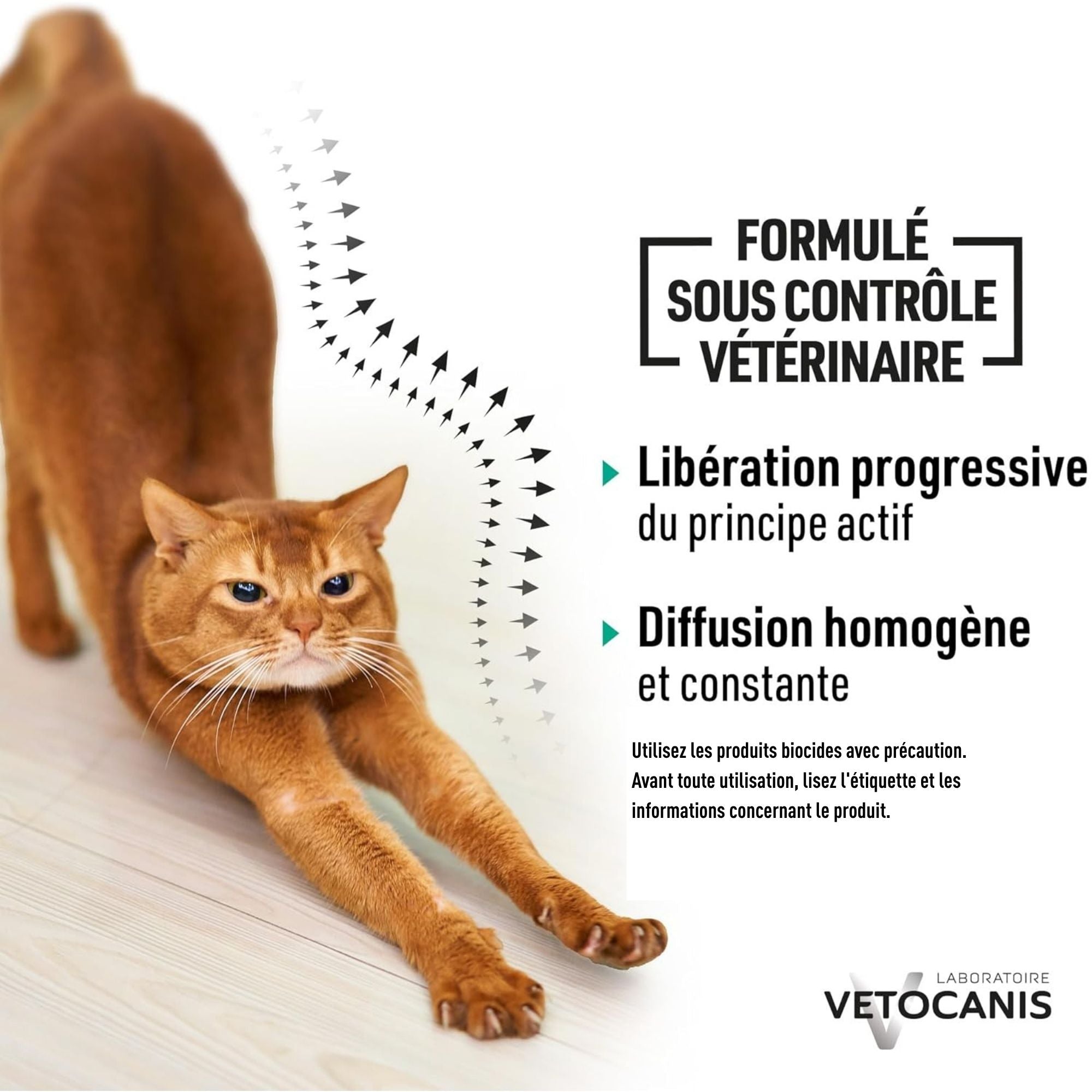 VETOCANIS 10%M Solution répulsive pour spot-on pour chats et chatons