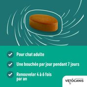VERZEN 24 Bouchées Chat
