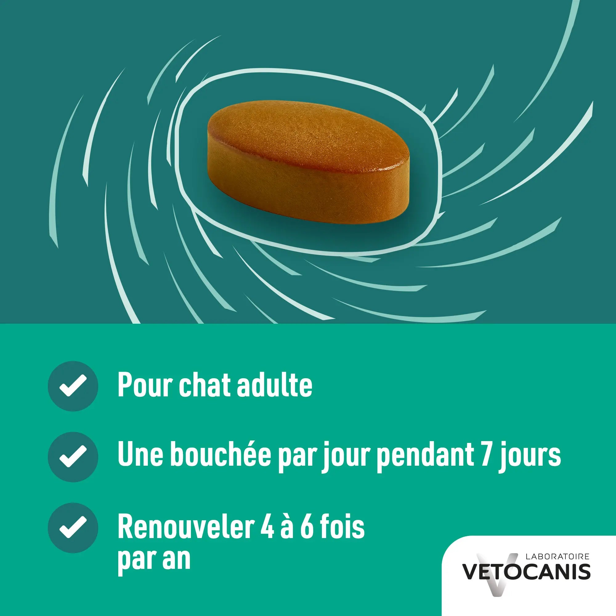 VERZEN 24 Bouchées Chat