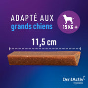 stick dentaire Nettoie les dents chien