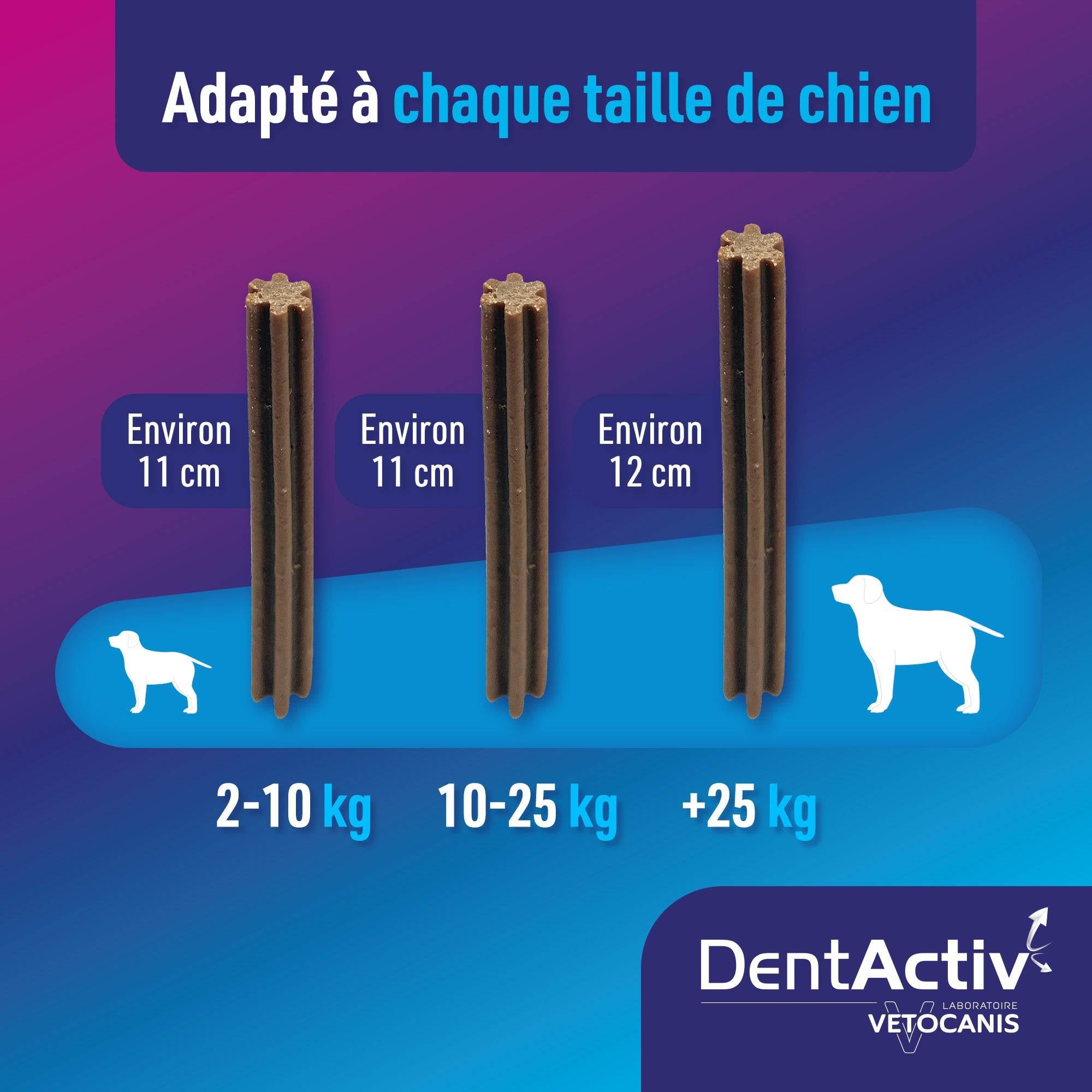 Adapté à tous les chiens