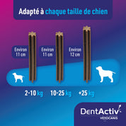 Adapté à tous les chiens
