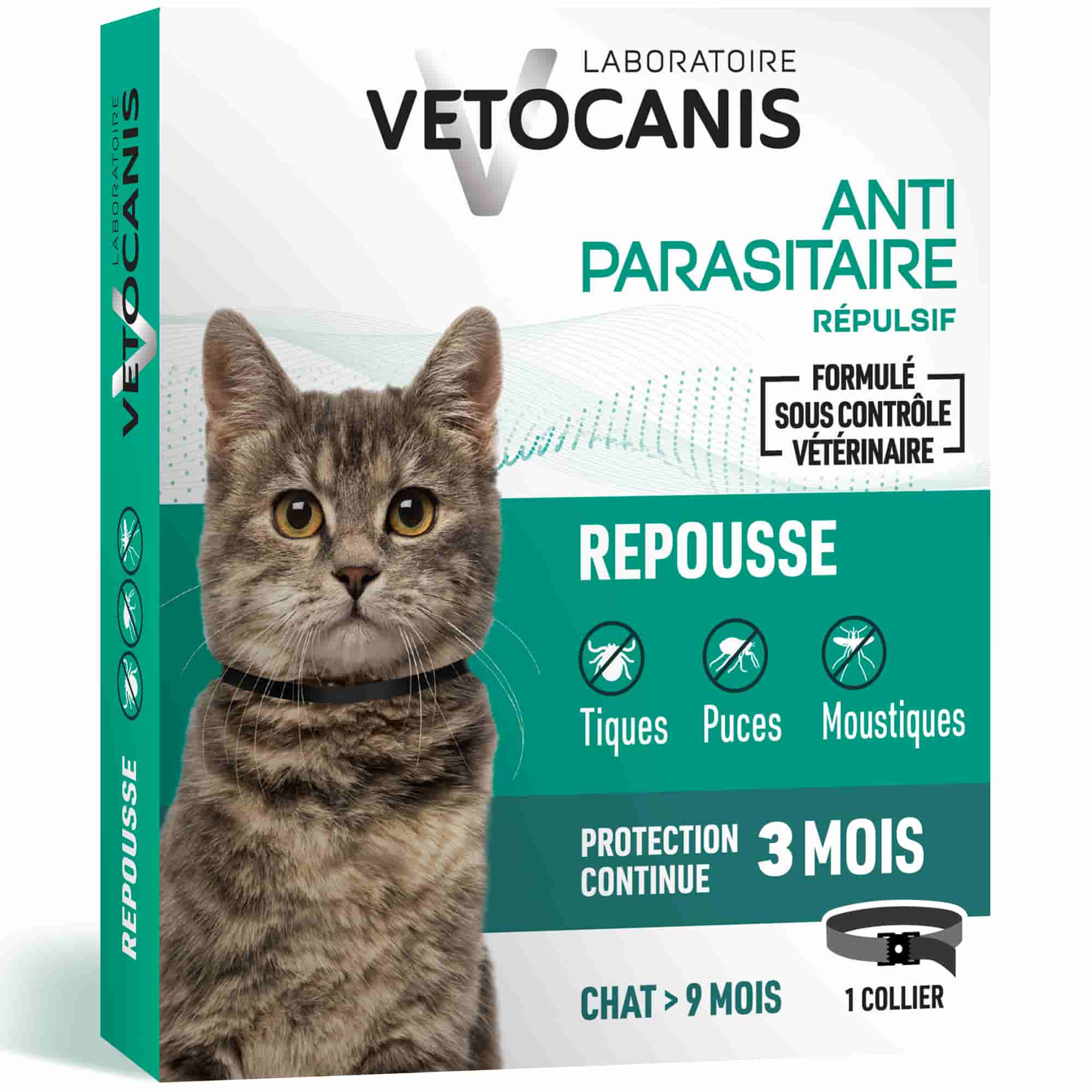 Collier Anti-Puces Anti-Tiques Répulsif Anti-Moustique pour Chat 