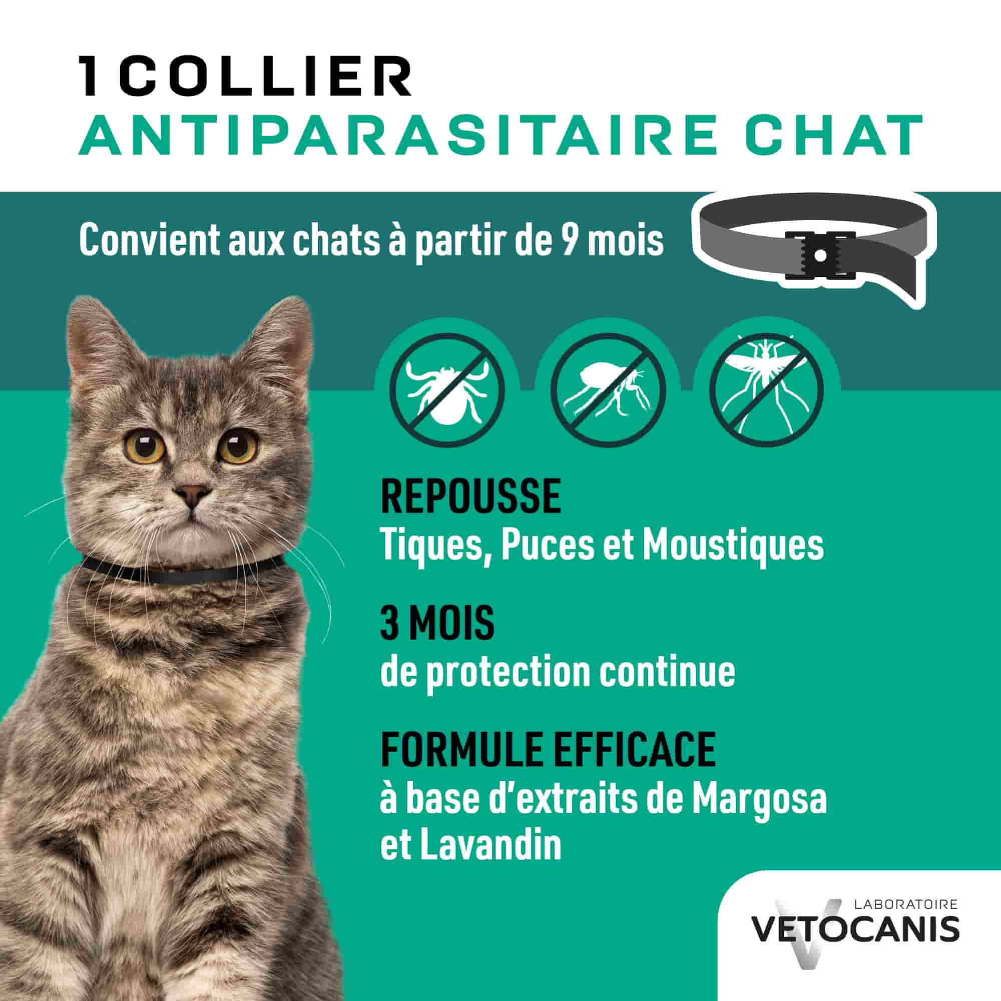 Collier Anti parasitaire pour chat
