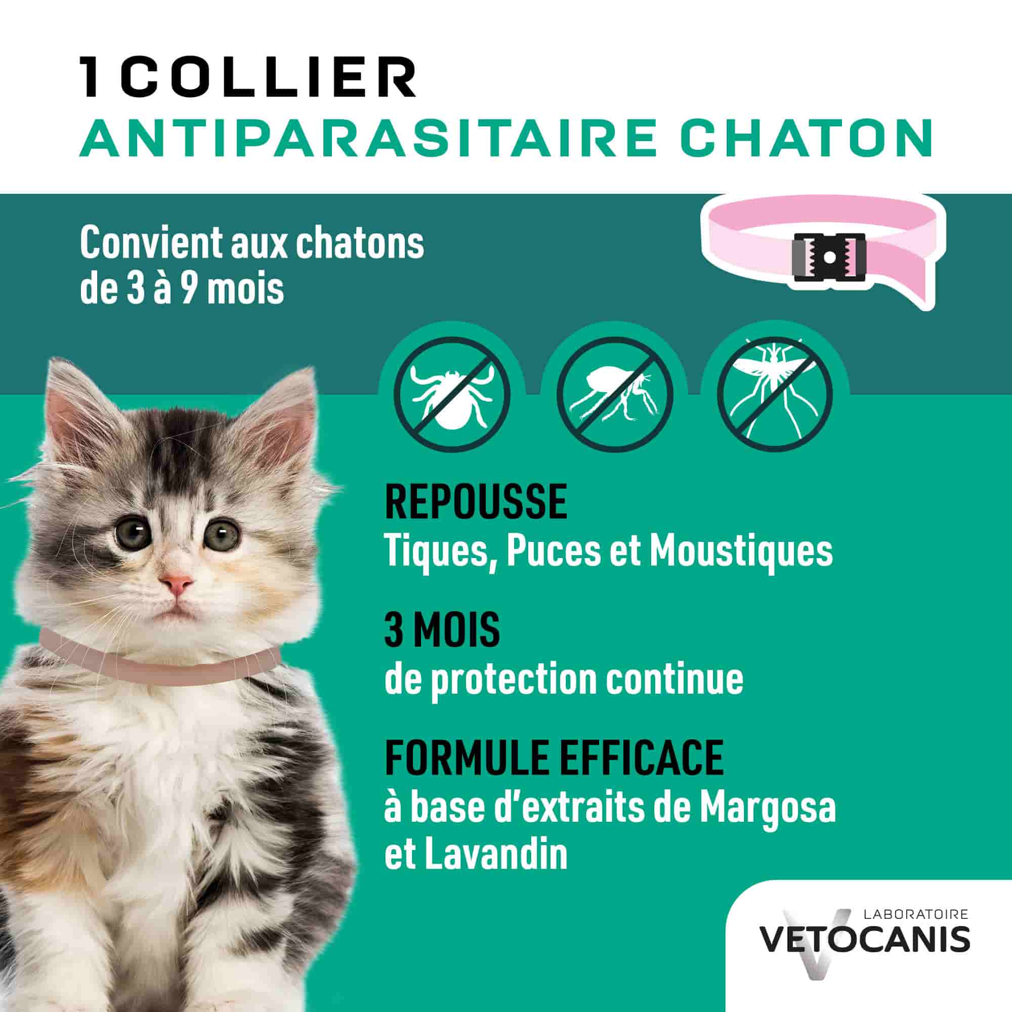Collier Anti parasitaire pour chaton
