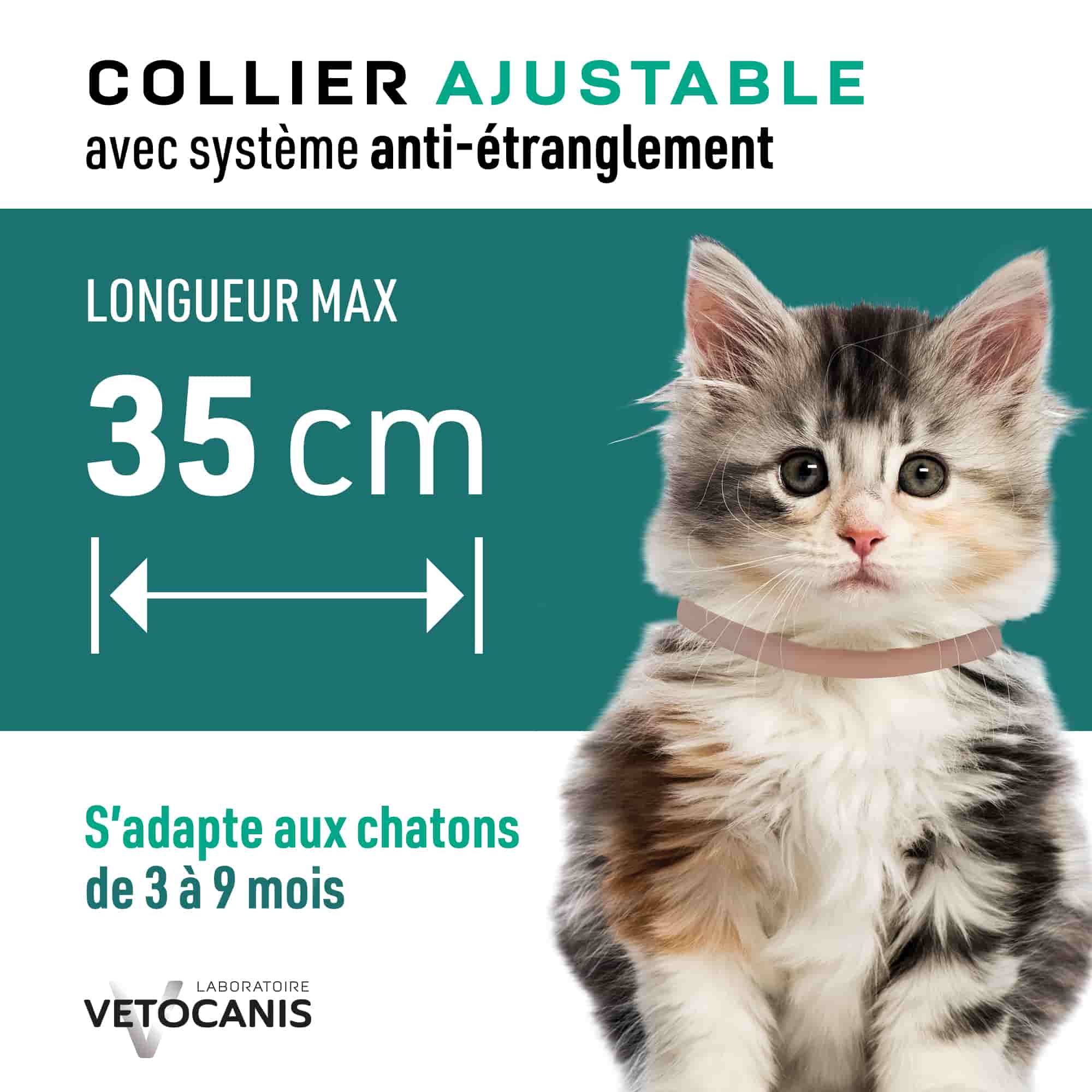 Collier ajustable anti étranglement pour chaton