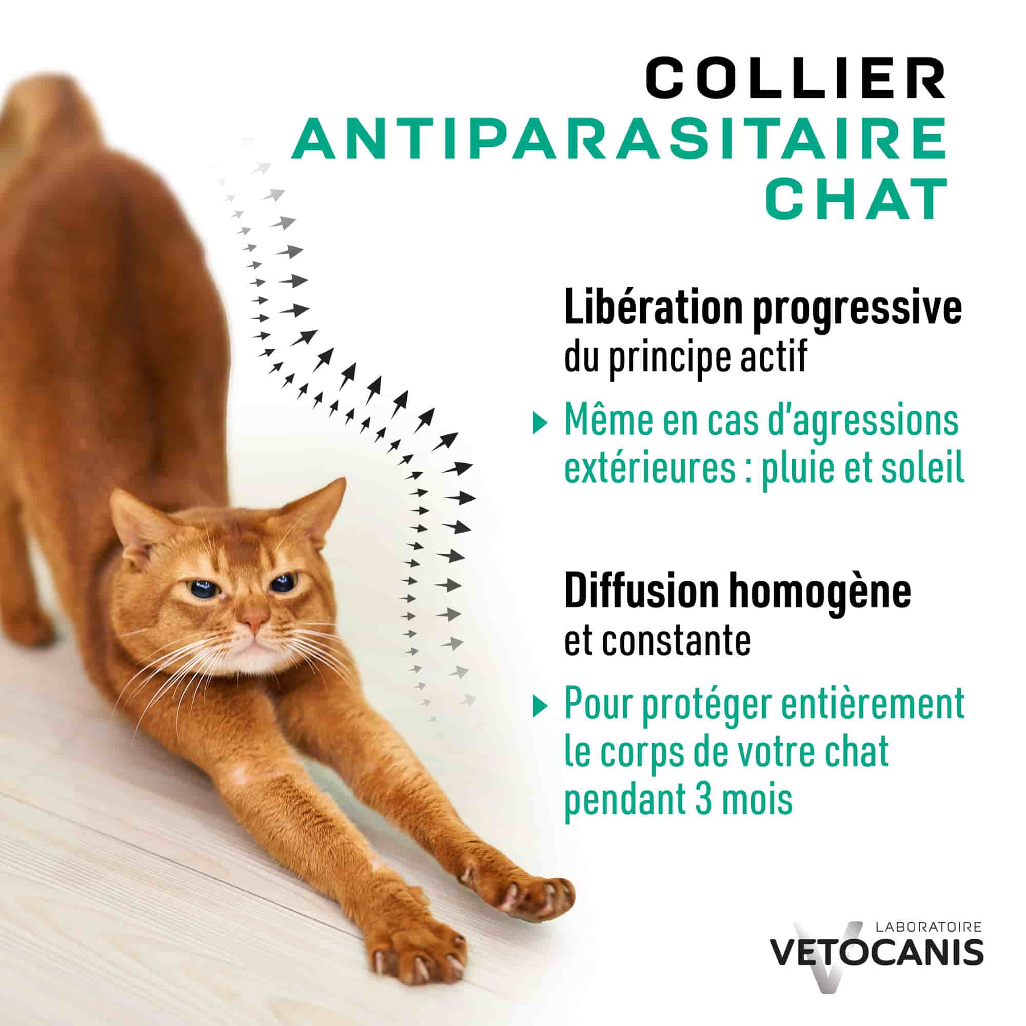 Collier pour chat avec libération progressive et diffusion homogène