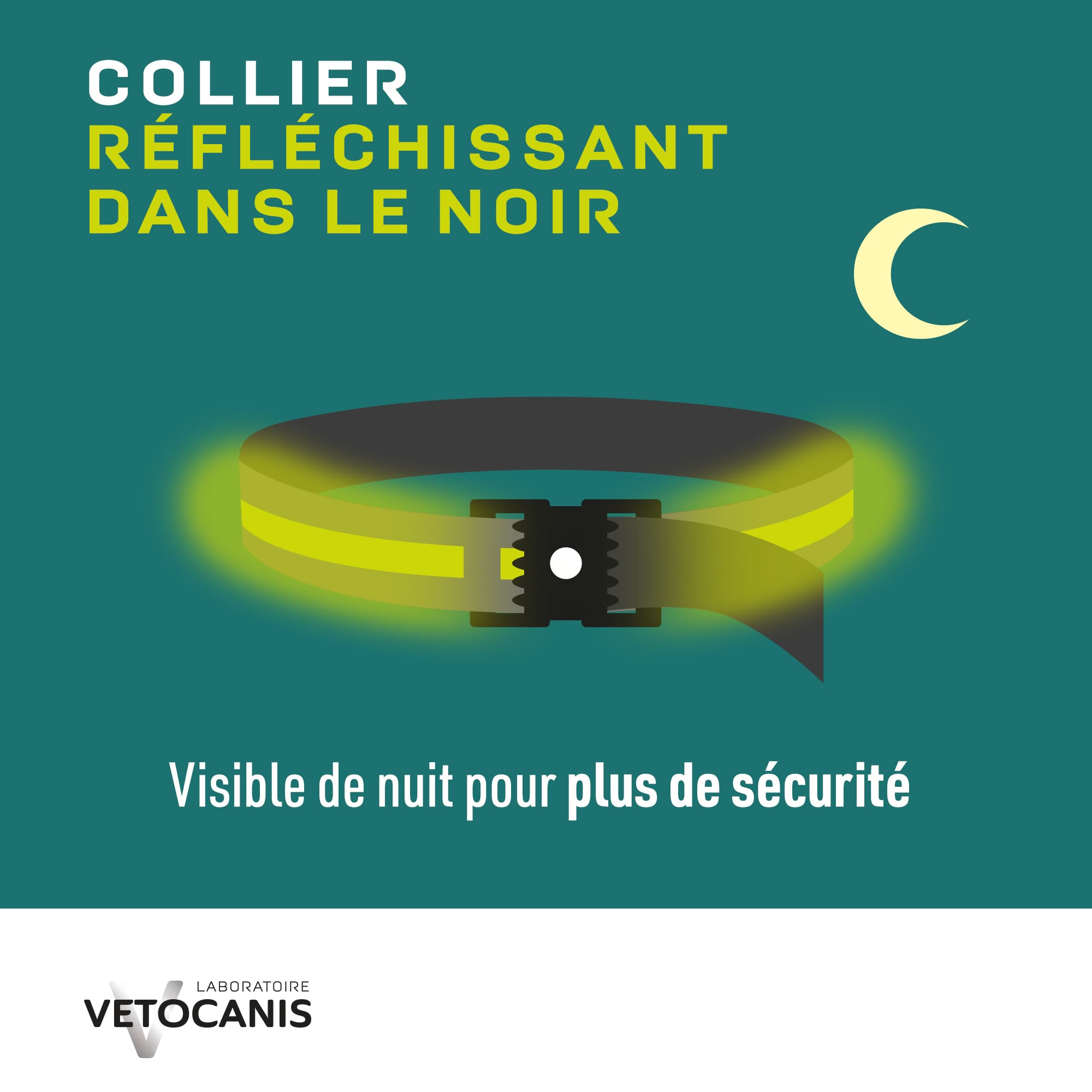Collier réfléchissant dans le noir 
