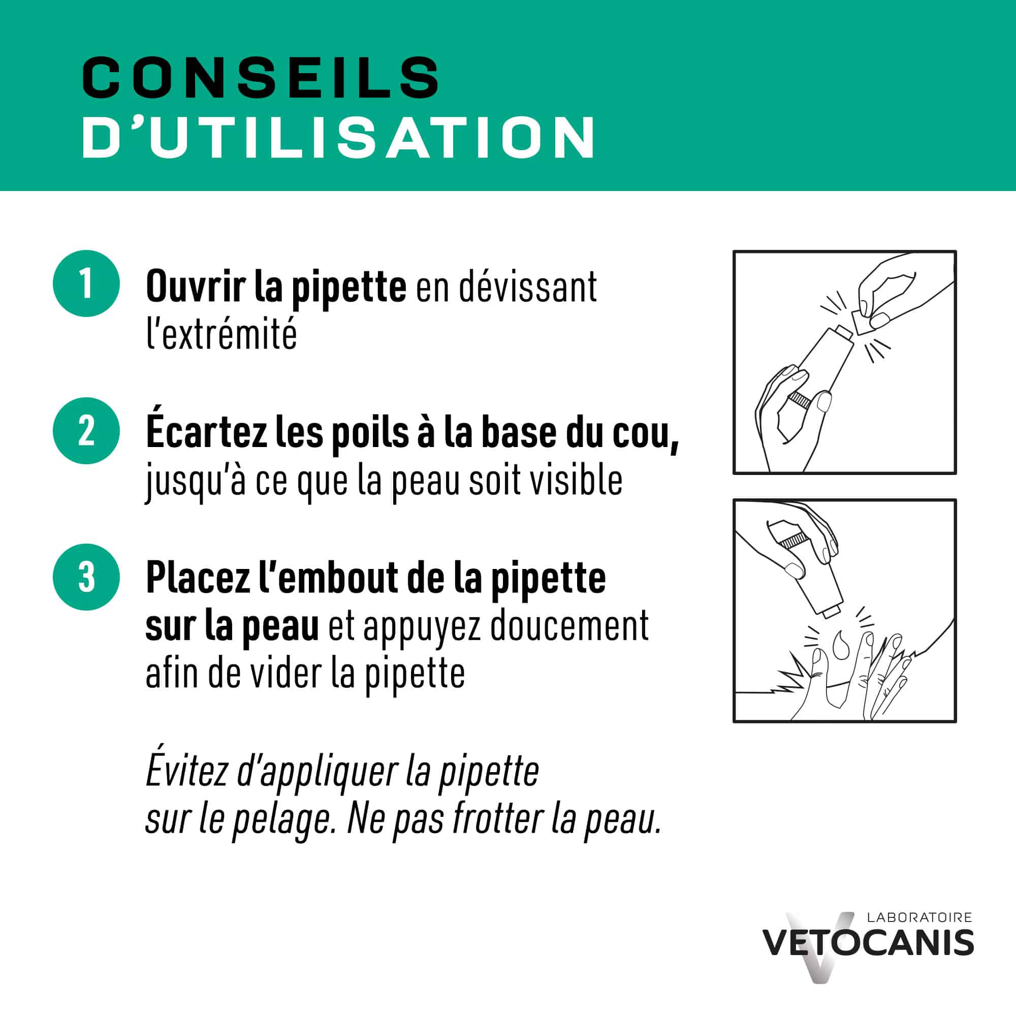 Conseils d'utilisation pipette pour chiot, petit chien et chien moyen