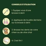 conseils d'utilisation dentifrice au calendula Vetocanis chien chat naturel