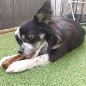 os à macher longue durée chien adore