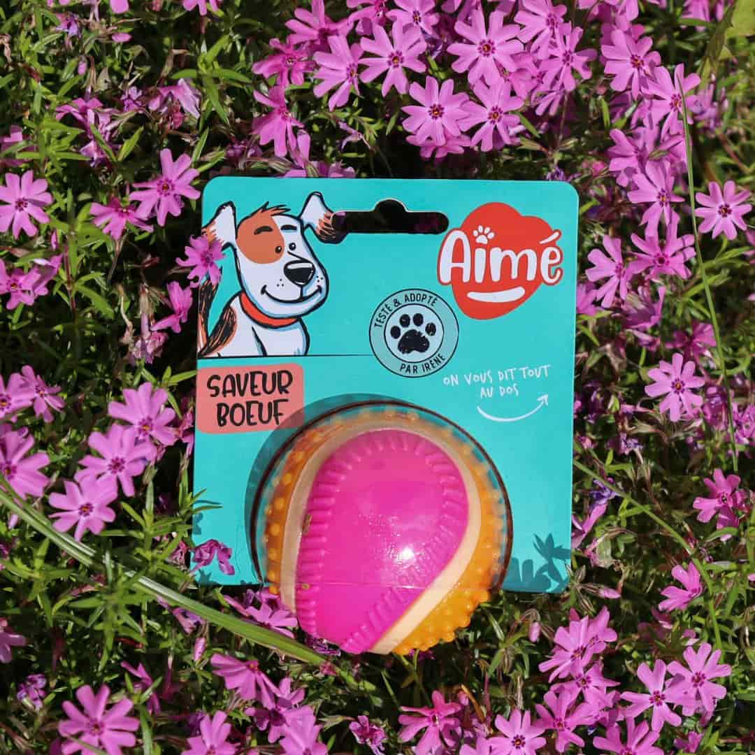 Balle pour Chien 5 en 1 saveur Bœuf