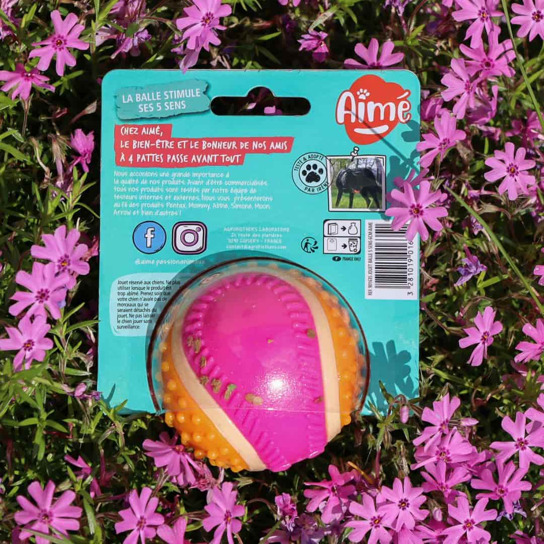 Balle pour Chien 5 sens bien être et bonheur chien