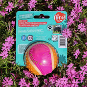 Balle pour Chien 5 sens bien être et bonheur chien