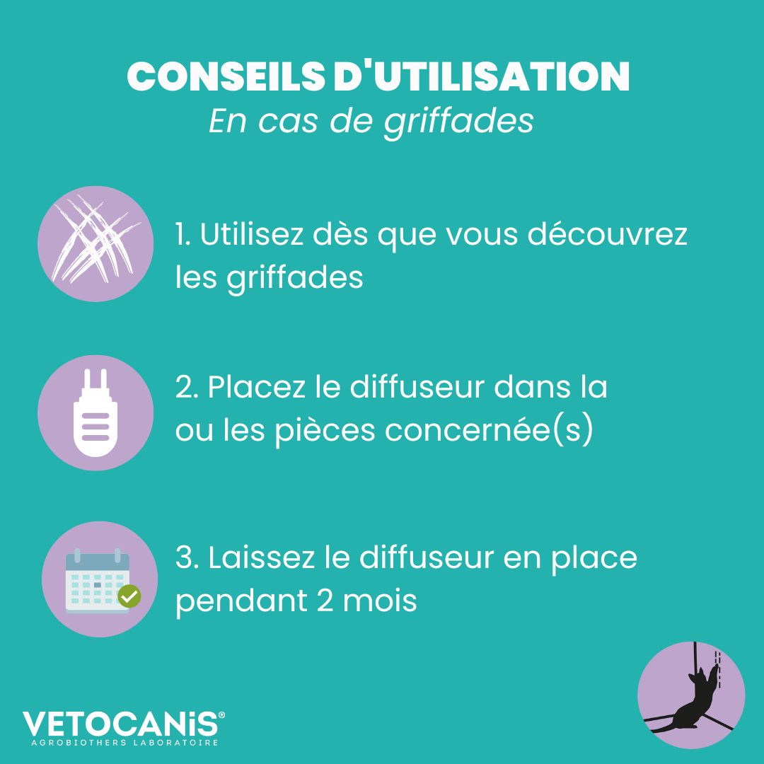 Des phéromones naturelles contre les griffades du chat - Trucs et astuces -  Chat - Santévet