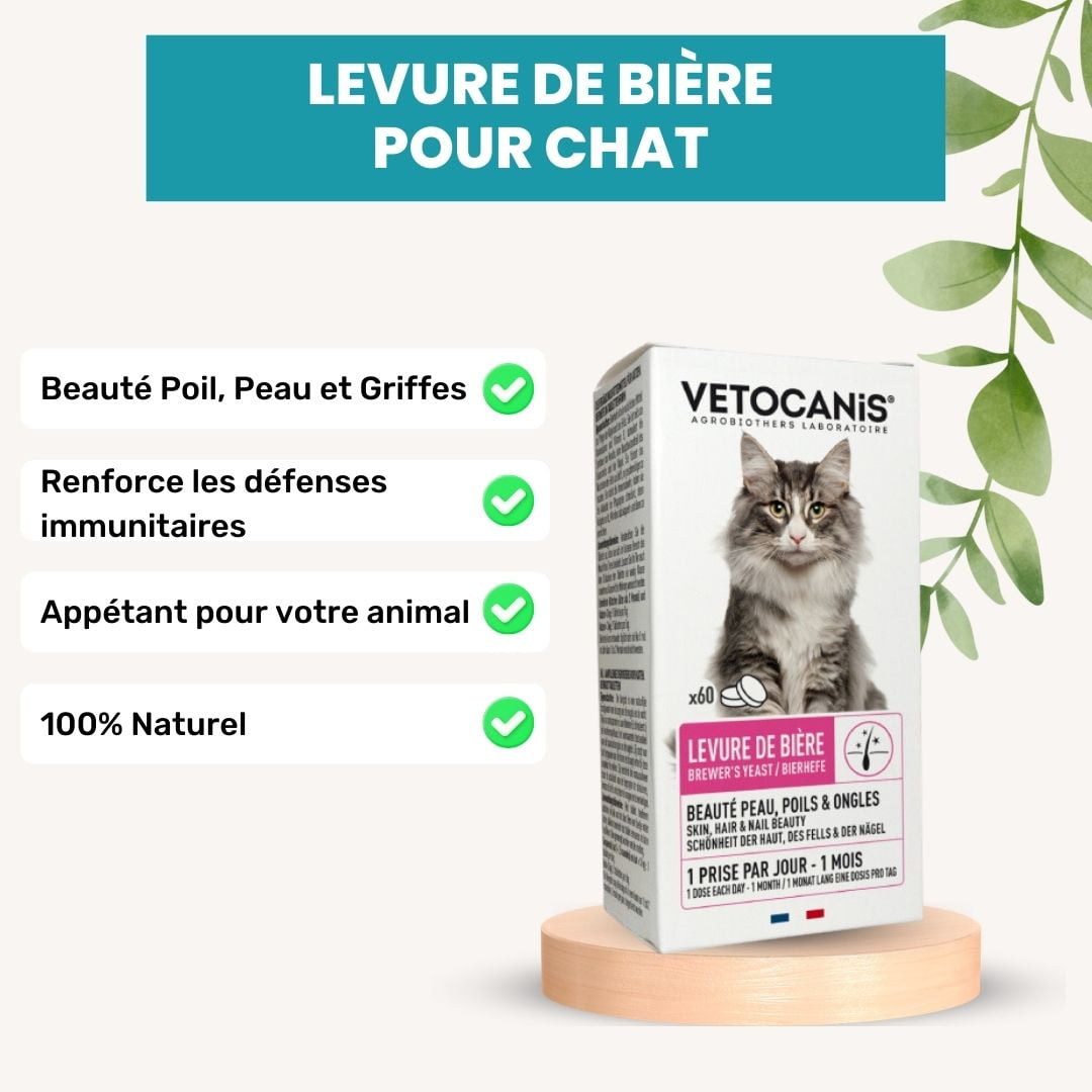 Vitamines et compléments pour chats