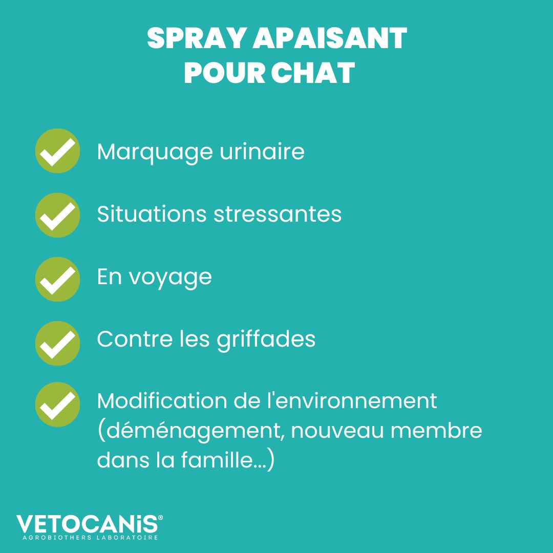 Spray apaisant Vetocanis chat pourquoi l'utiliser