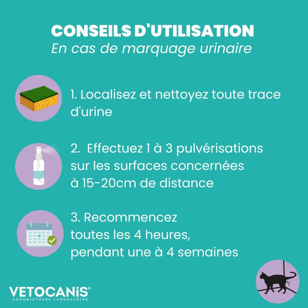 Conseils utilisation marquage urinaire spray apaisant chat vetocanis