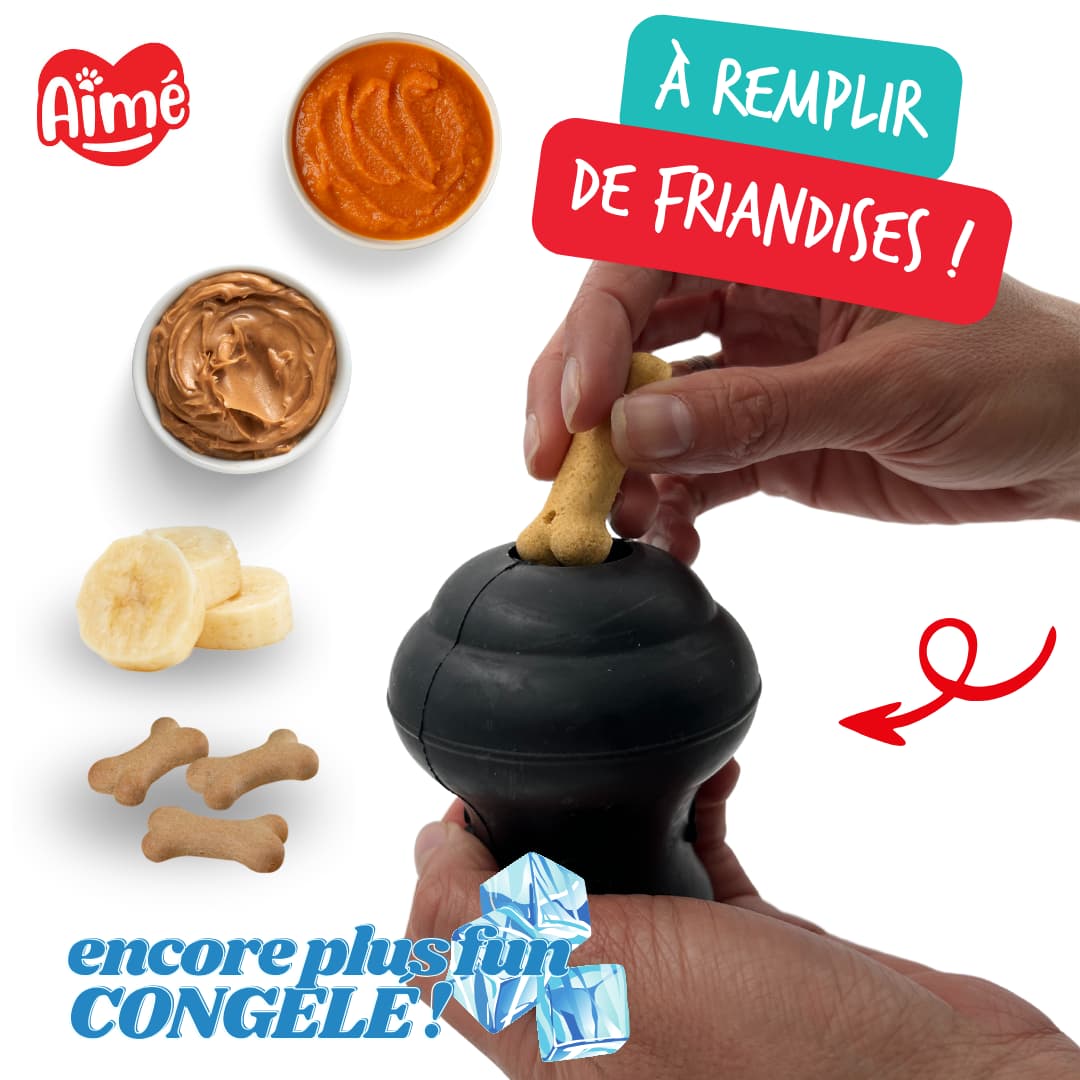 jouet à remplir friandises chien