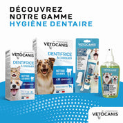 Découvrez notre gamme hygiène dentaire