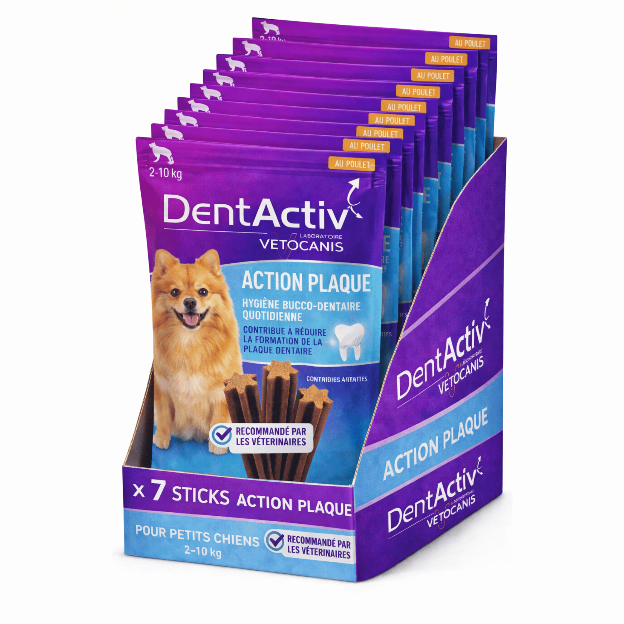 DentActiv Action Petit Chien x12
