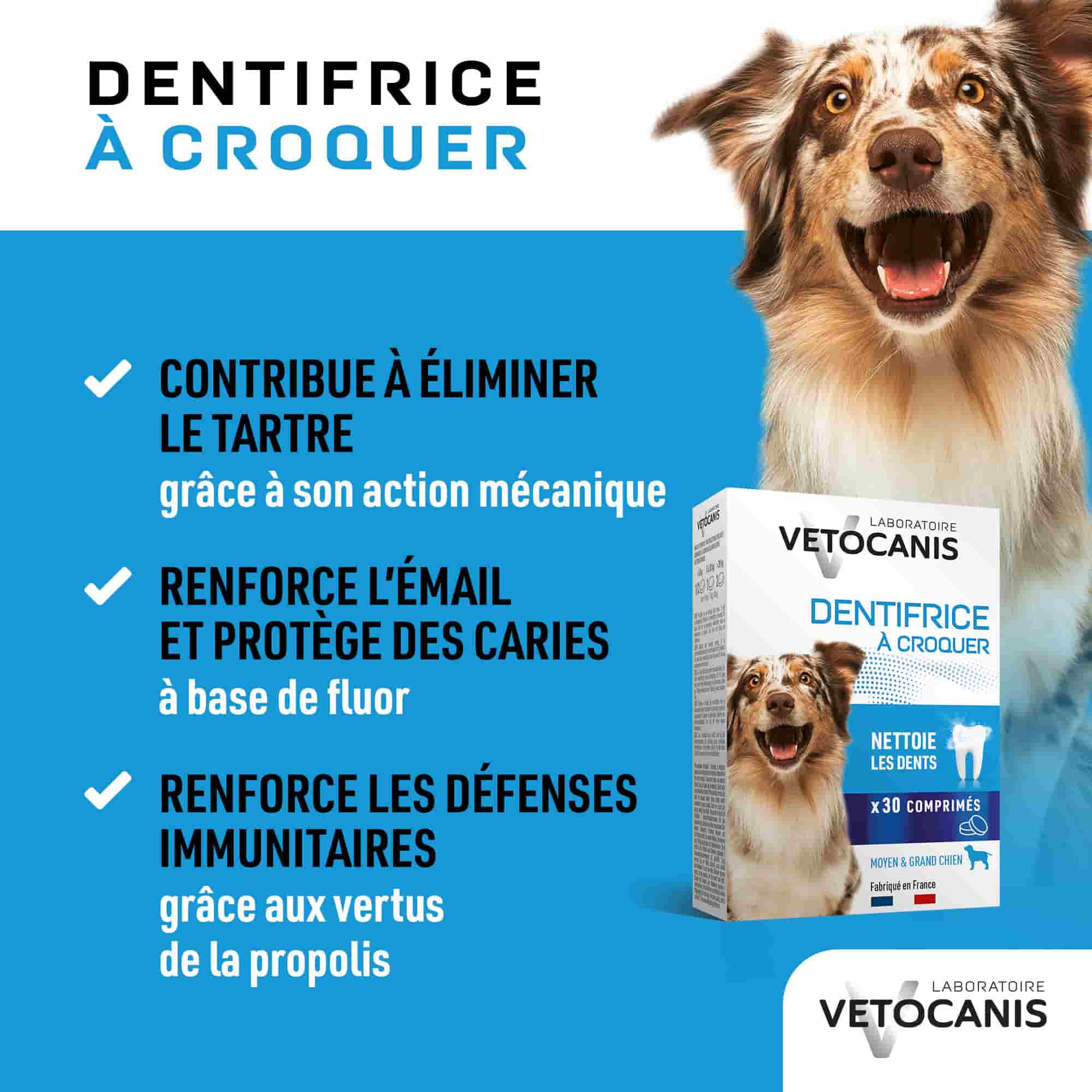 Avantages du dentifrice à croquer pour chien