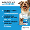 Avantages du dentifrice à croquer pour chien