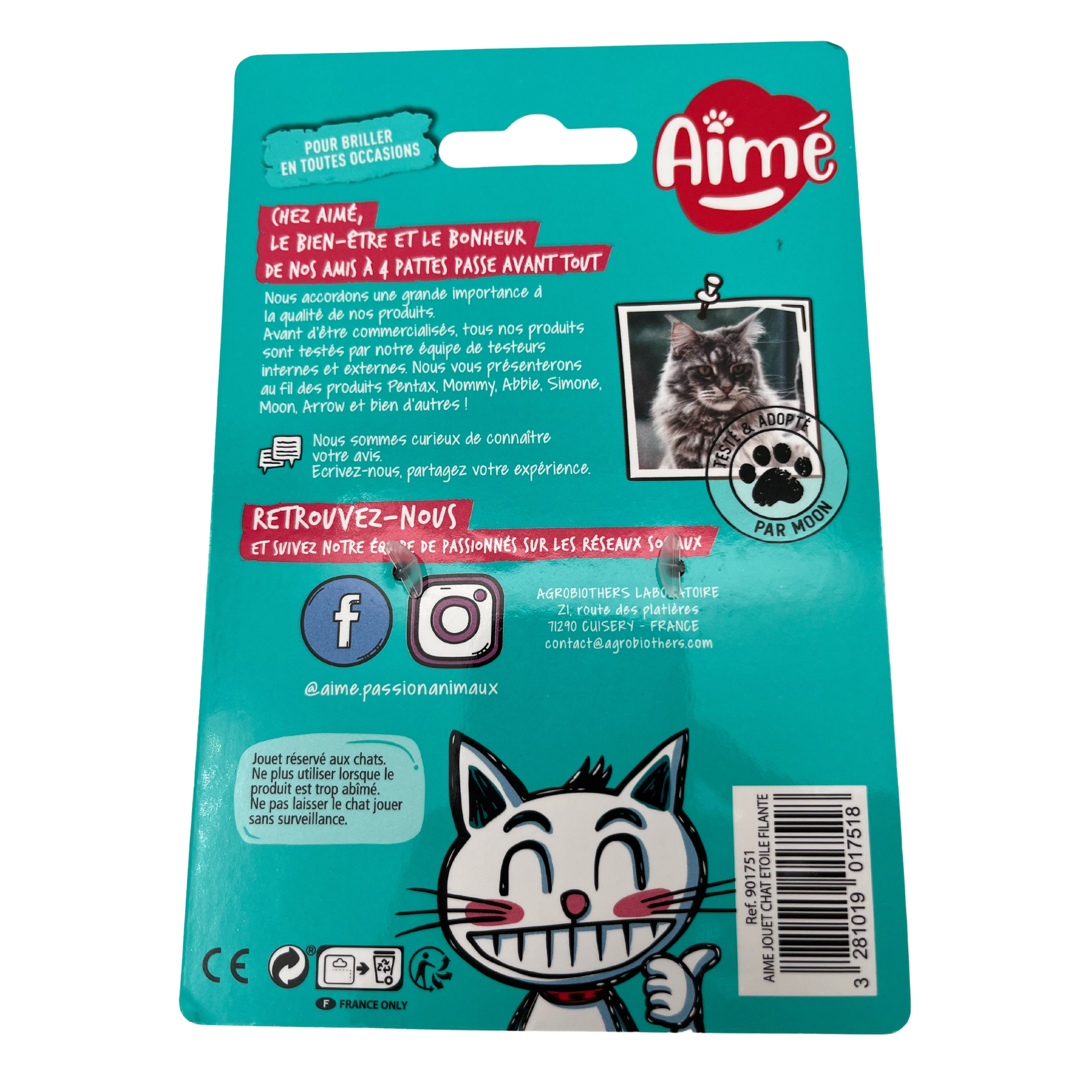 Jouet étoile filante pour Chat