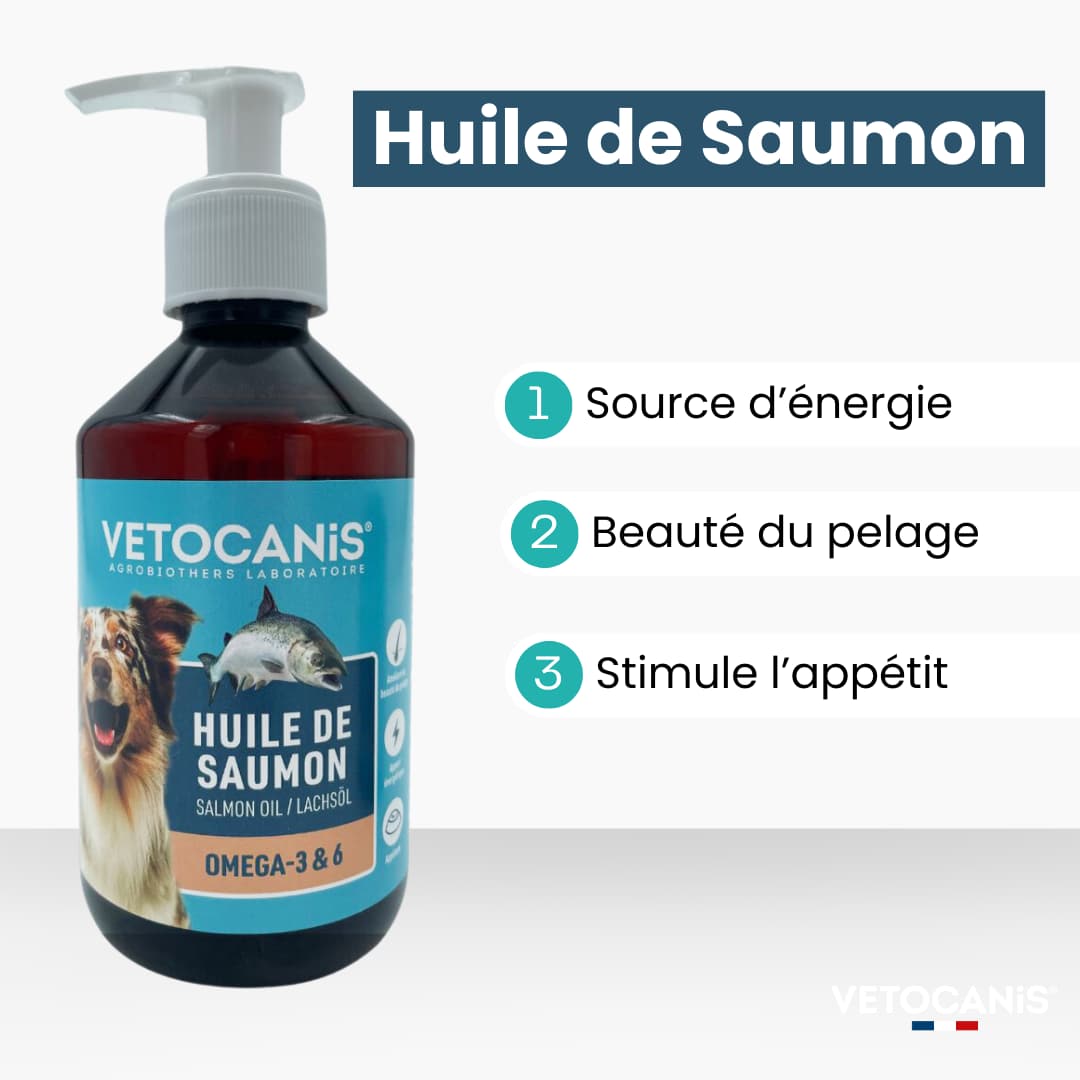 Huile de saumon pour chien : pourquoi et comment l'utiliser ? - JMT  Alimentation Animale