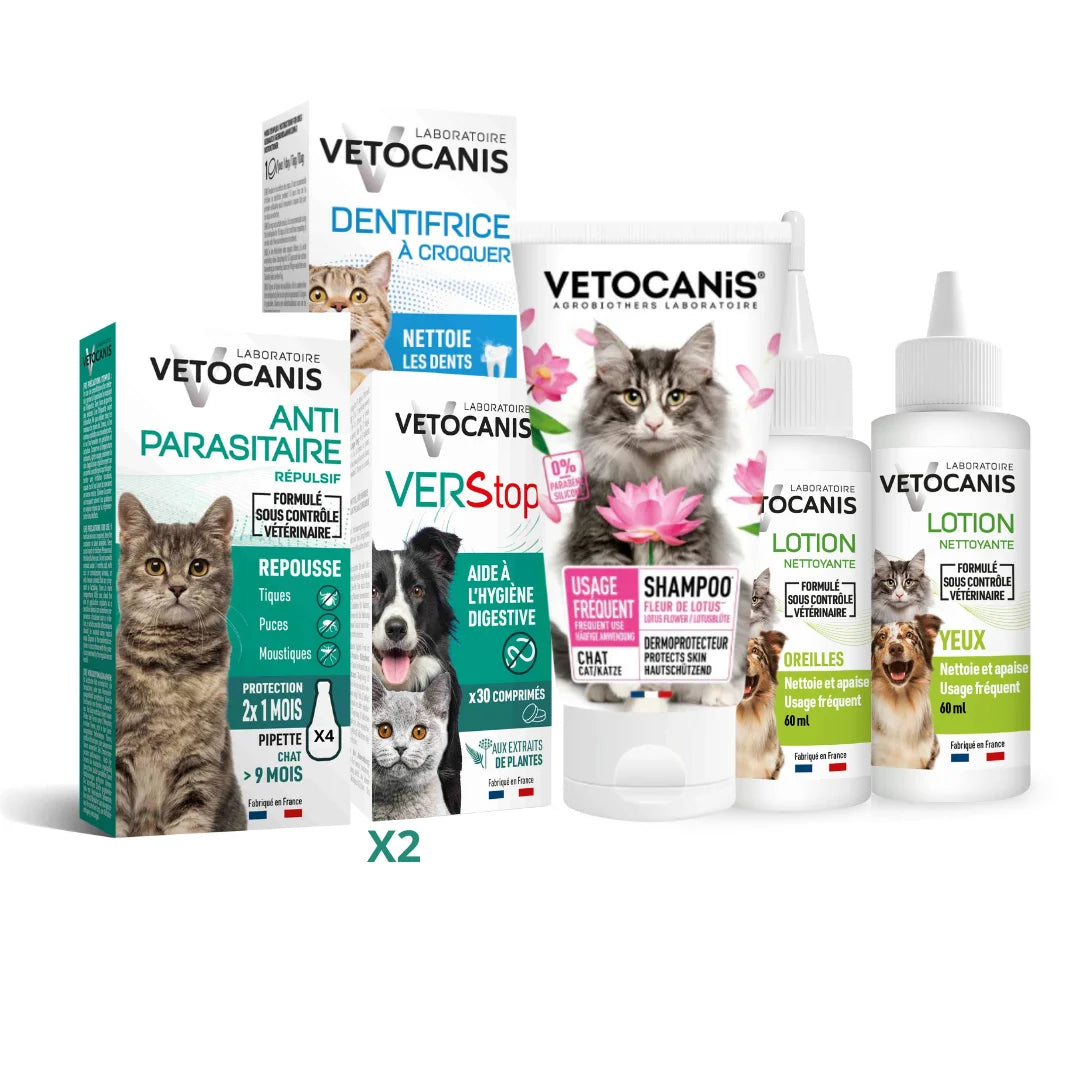 Kit Essentiels pour Chat