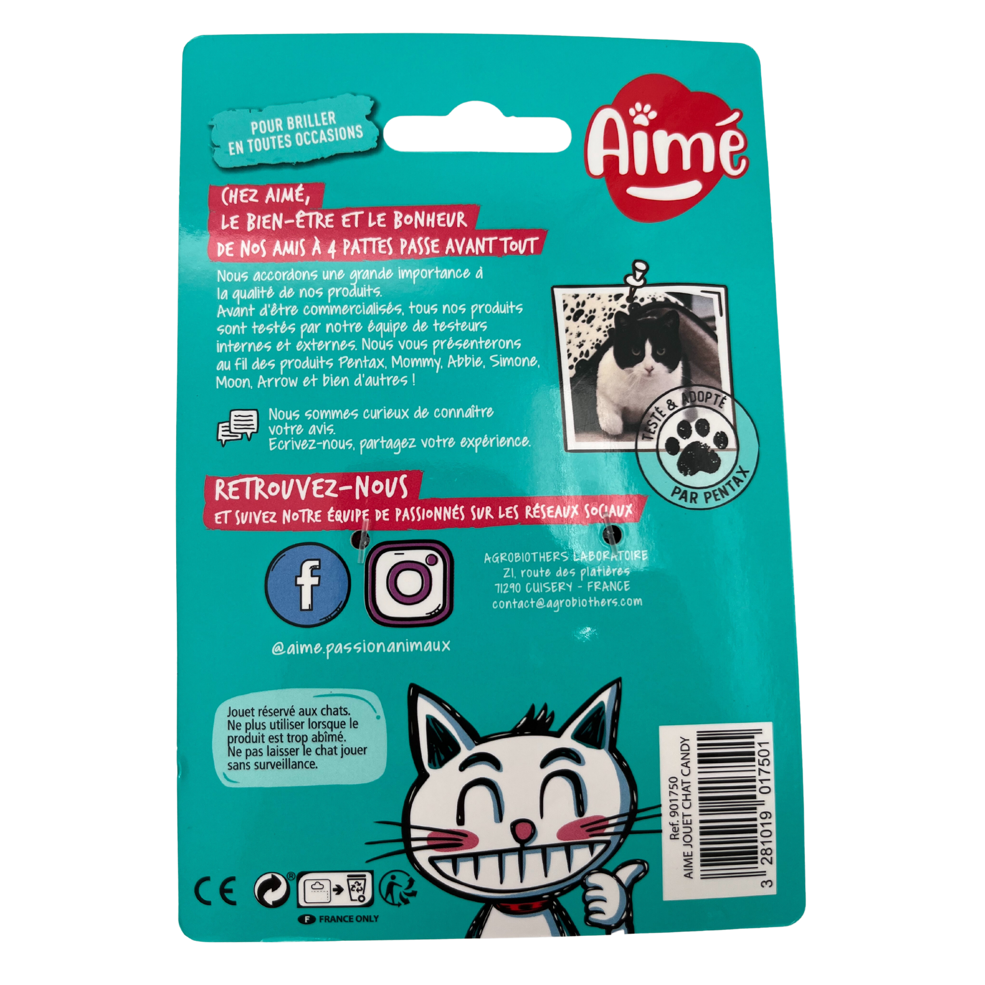 Jouer bonbon pour chat