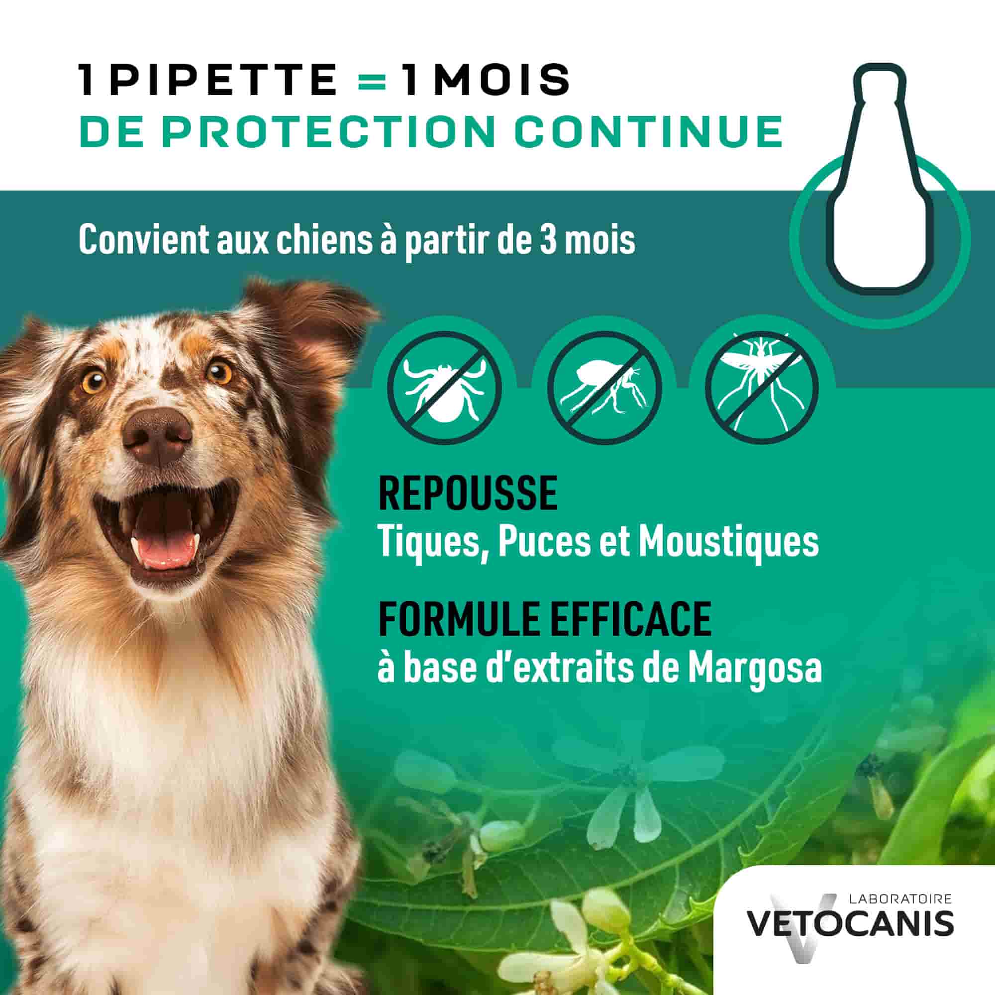 Pipettes 1 mois de protection continue repoussant tiques, puces et moustiques pour chien moyen