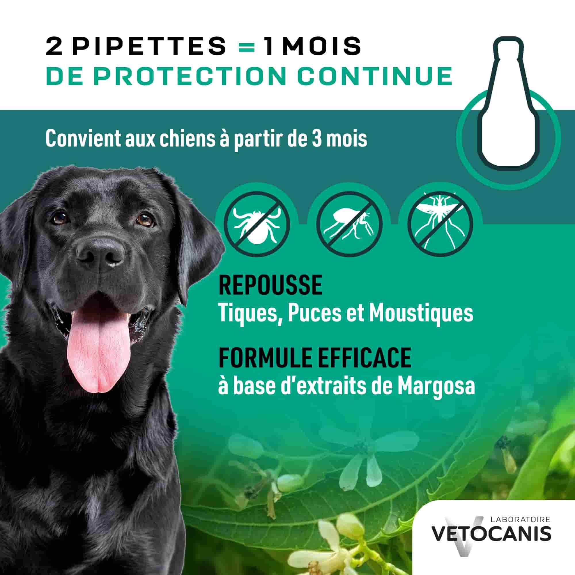 Pipettes 1 mois de protection continue repoussant tiques, puces et moustiques pour grand chien