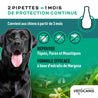 Pipettes 1 mois de protection continue repoussant tiques, puces et moustiques pour grand chien