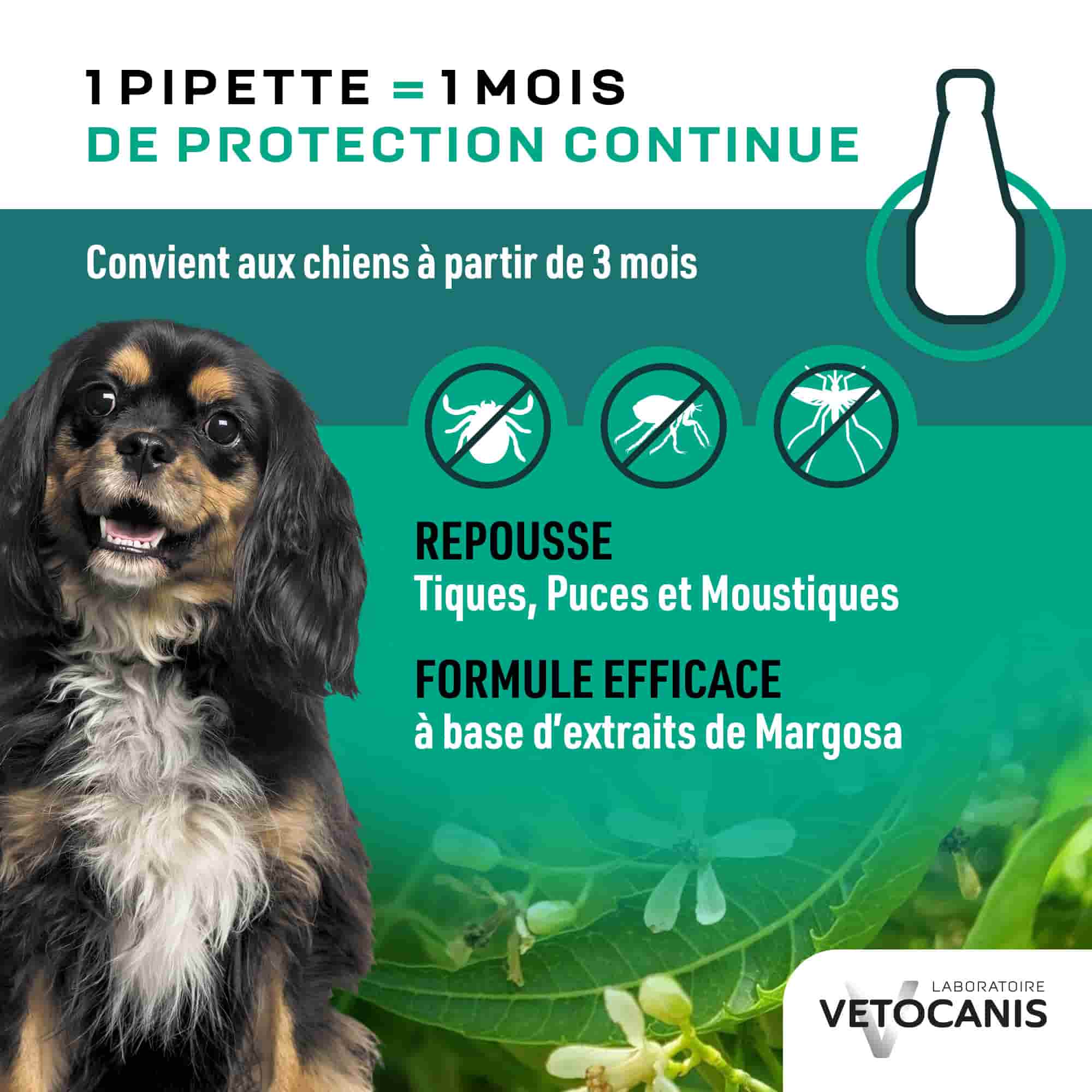 Pipettes 1 mois de protection continue repoussant tiques, puces et moustiques pour petit chien
