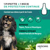 Pipettes 1 mois de protection continue repoussant tiques, puces et moustiques pour petit chien