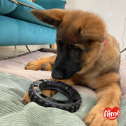 jouet pneu cronos chien occupation