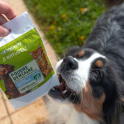 poudre dentaire naturelle aux algues Vetocanis