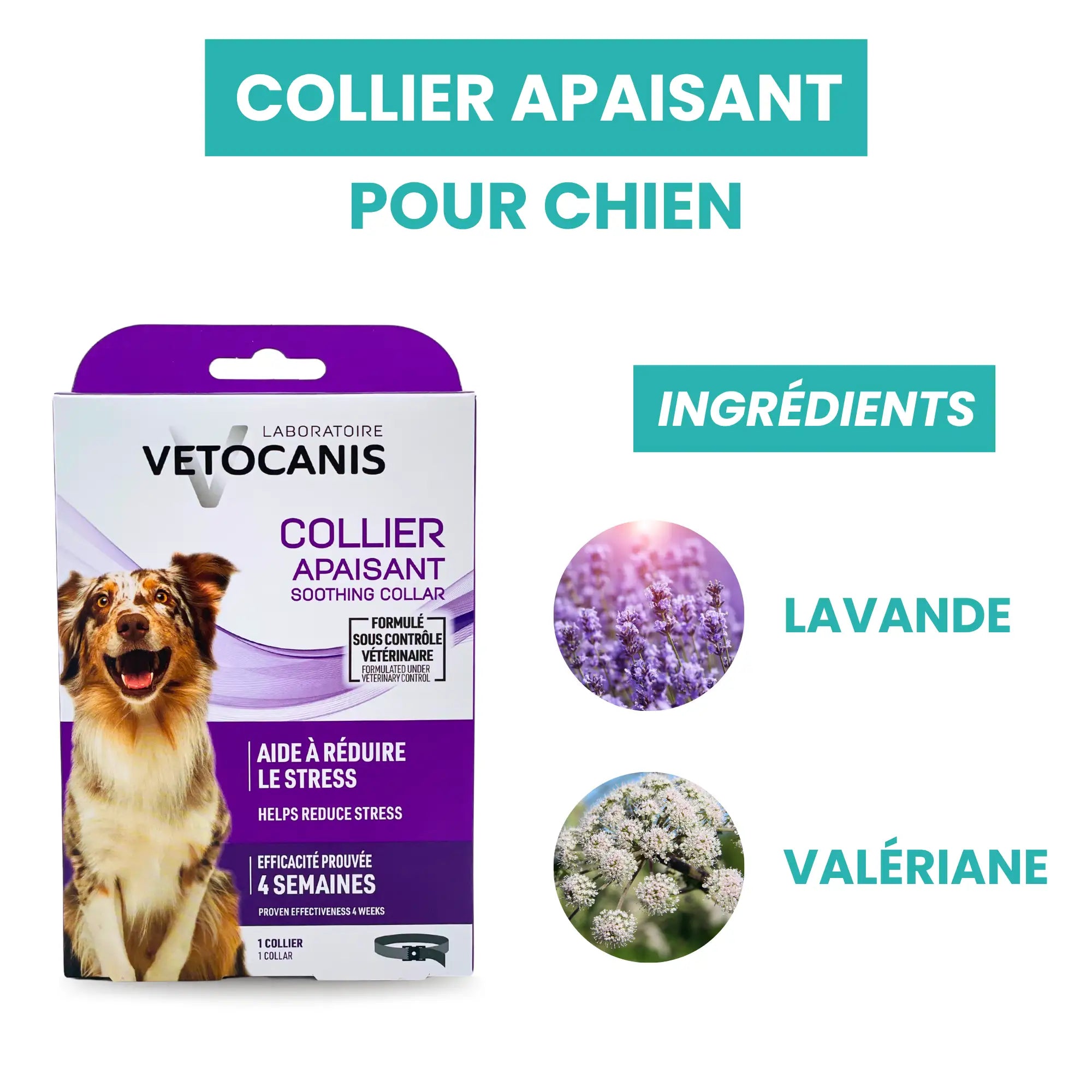 collier apaisant chien ingrédient