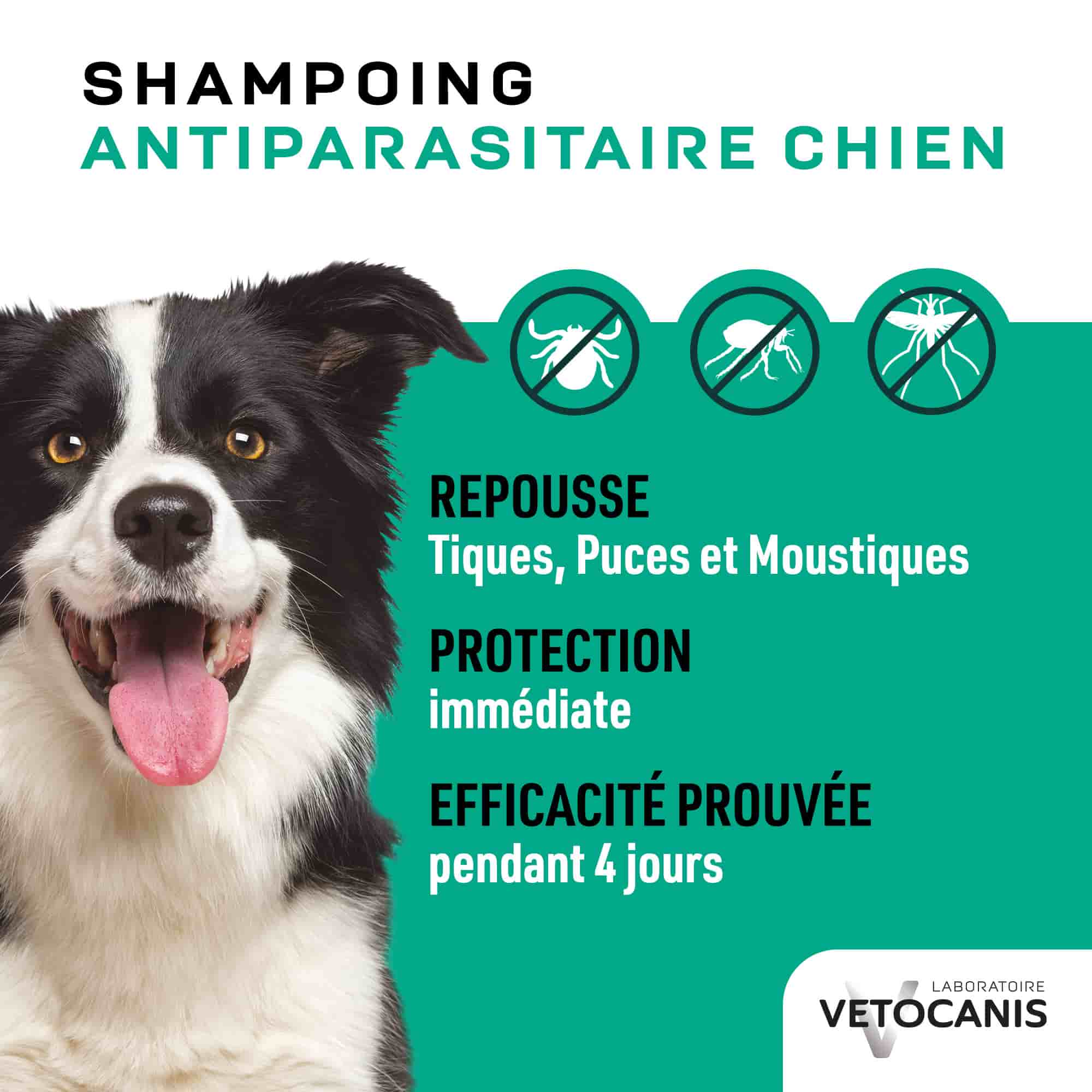 Shampoing anti parasitaire chien contre tiques, puces et moustiques