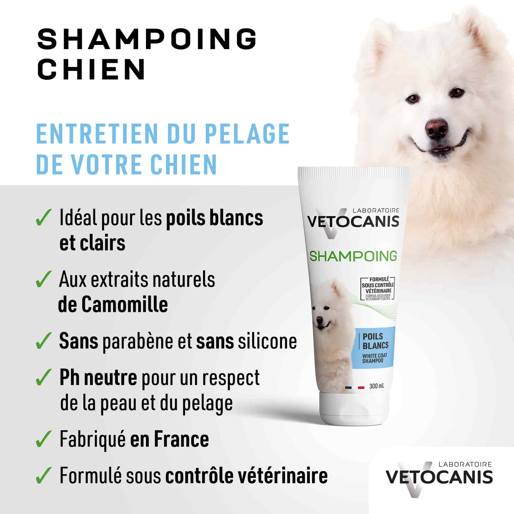 Shampoing poils clairs blancs entretien du pelage