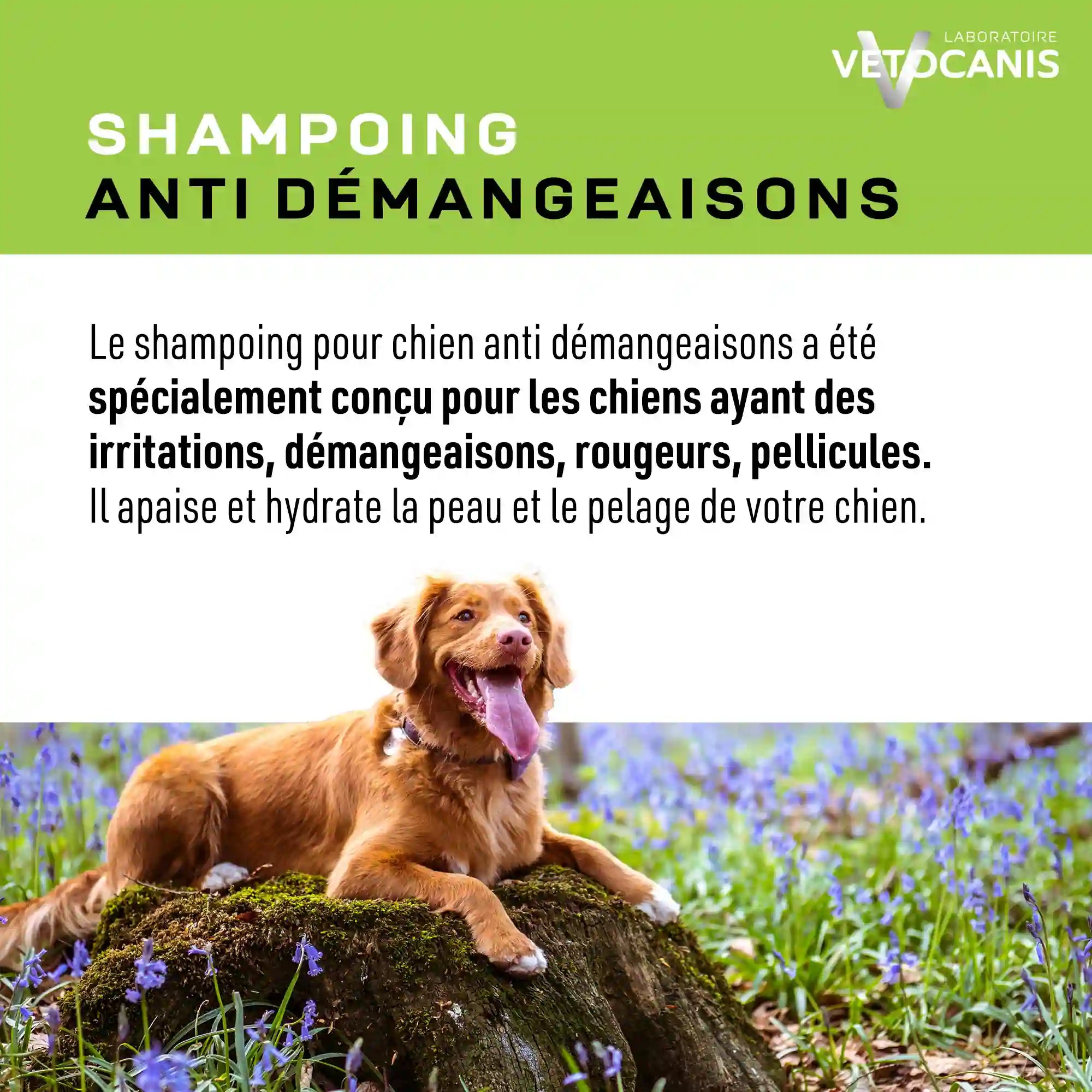 Shampoing pour Chien vetocanis contre irritations, rougeurs, pellicules, démangeaisons