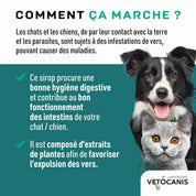 Sirop contre les vers du chien et chat comment ça marche